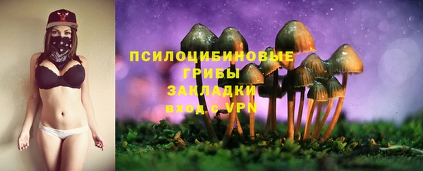 герыч Каменногорск