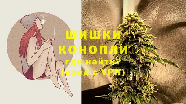 шишки Каменка
