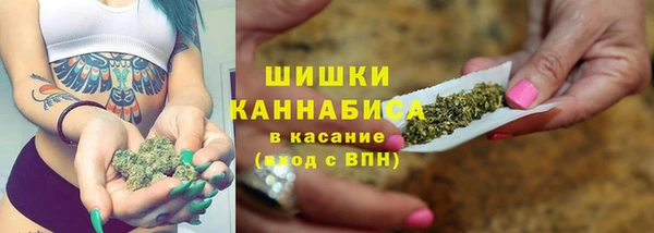 шишки Каменка
