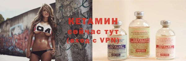 шишки Каменка