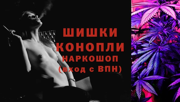 шишки Каменка