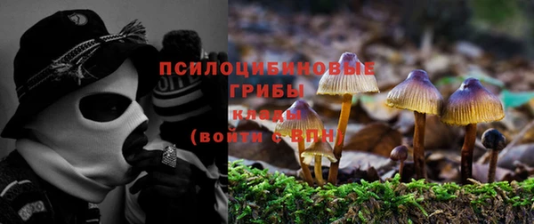 шишки Каменка